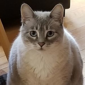 Meet your Posher, Gail